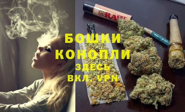 ГАЛЛЮЦИНОГЕННЫЕ ГРИБЫ Корсаков