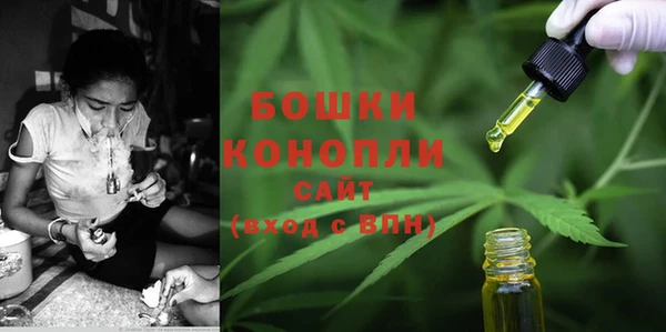 ГАЛЛЮЦИНОГЕННЫЕ ГРИБЫ Корсаков