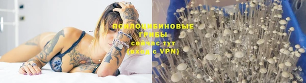 ГАЛЛЮЦИНОГЕННЫЕ ГРИБЫ Корсаков