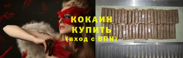 ГАЛЛЮЦИНОГЕННЫЕ ГРИБЫ Корсаков