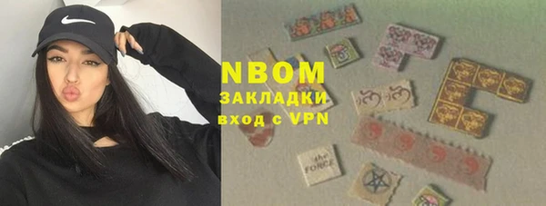 ГАЛЛЮЦИНОГЕННЫЕ ГРИБЫ Корсаков