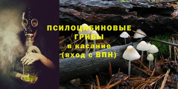 ГАЛЛЮЦИНОГЕННЫЕ ГРИБЫ Корсаков