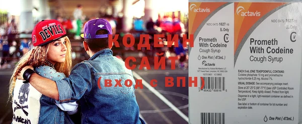 ГАЛЛЮЦИНОГЕННЫЕ ГРИБЫ Корсаков